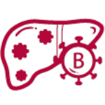 HepatitisB Hepatitis B
